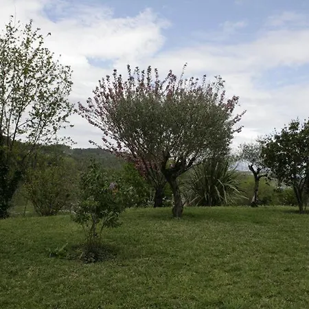 Casa Da Quinta Folhada * Amarante