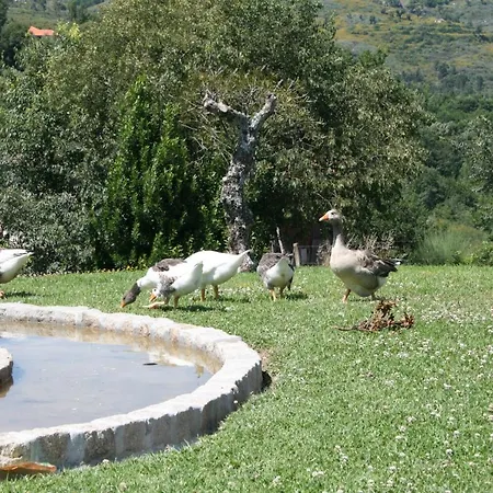 Casa Da Quinta Folhada Kır Evi Amarante